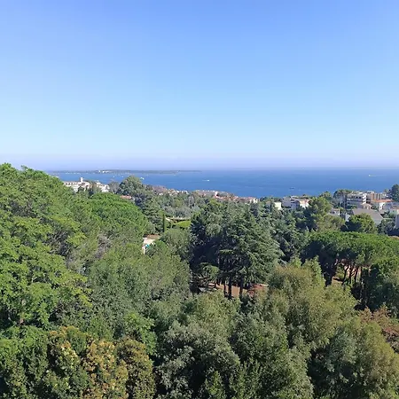 Magnifique 2 Pieces Vue * Cannes